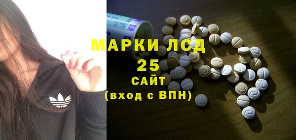 прущие грибы Алзамай