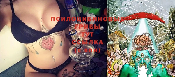 прущие грибы Алзамай