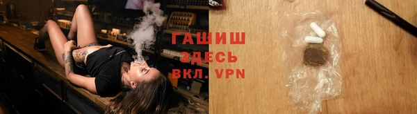 прущие грибы Алзамай