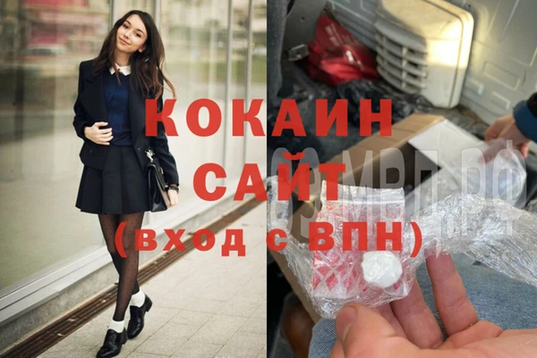 прущие грибы Алзамай