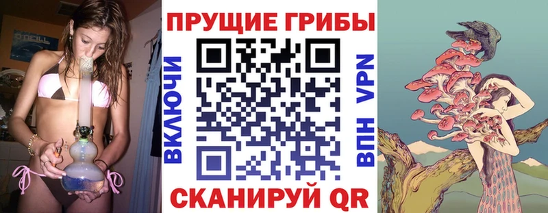 мориарти формула  Магадан  Галлюциногенные грибы GOLDEN TEACHER  где купить   MEGA как зайти 